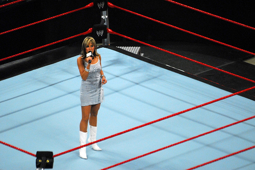 Lillan wwe diva